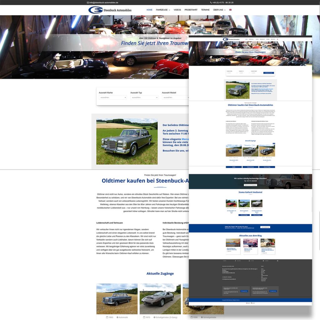 steenbuck automobiles